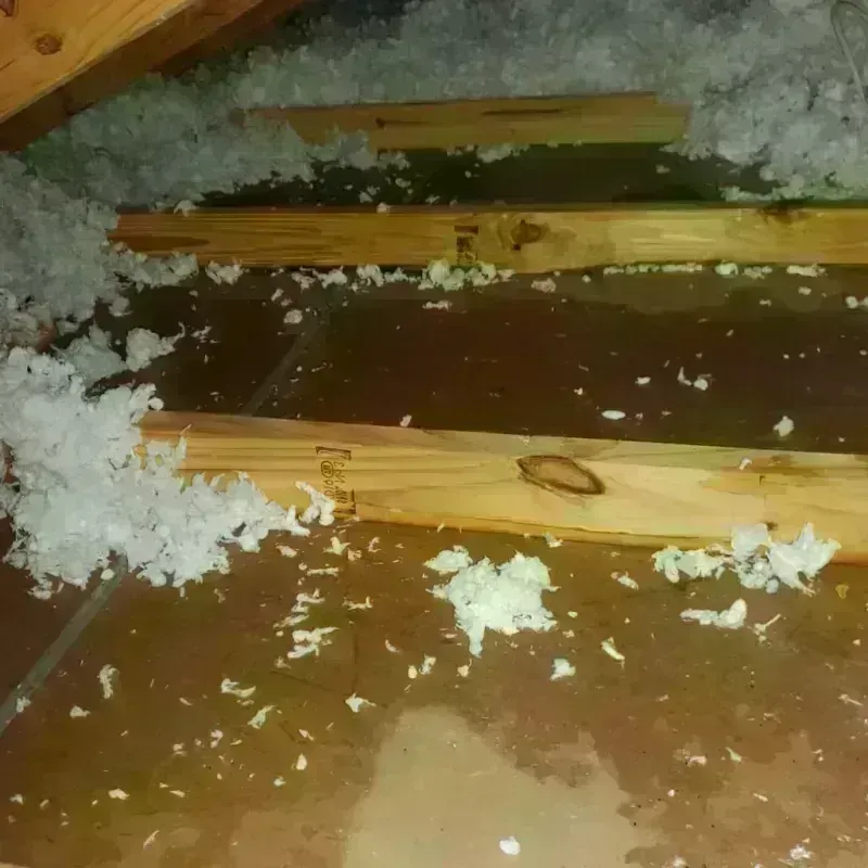 Attic Water Damage in Bowling Green, FL